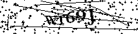 请输入以下文字及数字