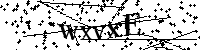请输入以下文字及数字