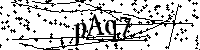 请输入以下文字及数字