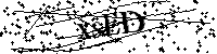 请输入以下文字及数字