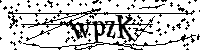 请输入以下文字及数字
