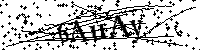 请输入以下文字及数字