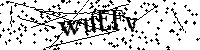 请输入以下文字及数字