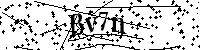 请输入以下文字及数字