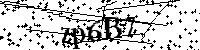 请输入以下文字及数字