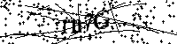 请输入以下文字及数字