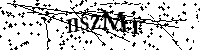 请输入以下文字及数字