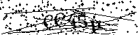 请输入以下文字及数字