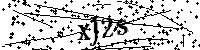 请输入以下文字及数字