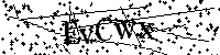请输入以下文字及数字