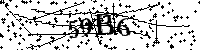 请输入以下文字及数字