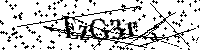 请输入以下文字及数字