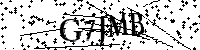 请输入以下文字及数字