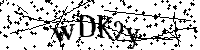 请输入以下文字及数字