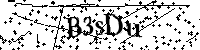 请输入以下文字及数字
