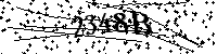 请输入以下文字及数字