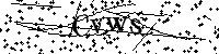 请输入以下文字及数字