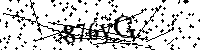 请输入以下文字及数字