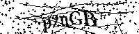 请输入以下文字及数字