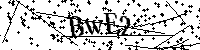 请输入以下文字及数字