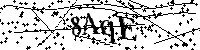 请输入以下文字及数字