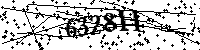 请输入以下文字及数字