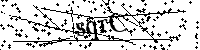 请输入以下文字及数字