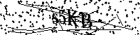 请输入以下文字及数字