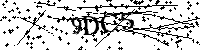 请输入以下文字及数字