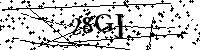 请输入以下文字及数字