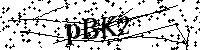 请输入以下文字及数字