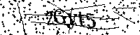 请输入以下文字及数字
