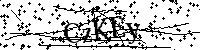 請輸入以下文字及數字