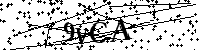 请输入以下文字及数字