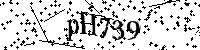 请输入以下文字及数字
