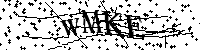 请输入以下文字及数字