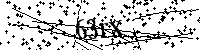 请输入以下文字及数字