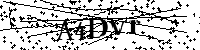 请输入以下文字及数字