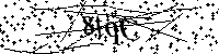 请输入以下文字及数字
