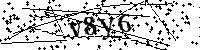 请输入以下文字及数字