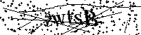 请输入以下文字及数字