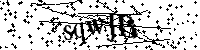 请输入以下文字及数字