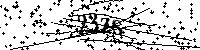请输入以下文字及数字