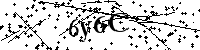 请输入以下文字及数字