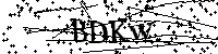 请输入以下文字及数字