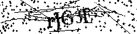 请输入以下文字及数字