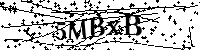 请输入以下文字及数字