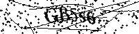 请输入以下文字及数字