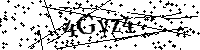 请输入以下文字及数字