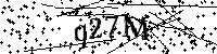 请输入以下文字及数字